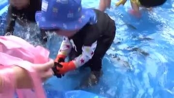 足元を逃げるように泳ぐ動きに大苦戦!!　夏休み初日 広島・府中市で「アユのつかみ取りイベント」
