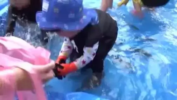 足元を逃げるように泳ぐ動きに大苦戦!!　夏休み初日 広島・府中市で「アユのつかみ取りイベント」