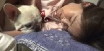 「ペットは家族」寂しがり屋や高齢犬、持病のあるイヌも安心　ペットと飼い主を支える新ビジネスに密着