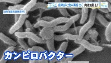 なぜ？県東部で「カンピロバクター」食中毒が急増　生鶏肉など「家庭でも加熱と消毒の徹底を」　広島