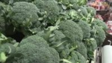 「指定野菜」に追加された『ブロッコリー』！ 県内の販売店や生産者をツイセキ！ 広島