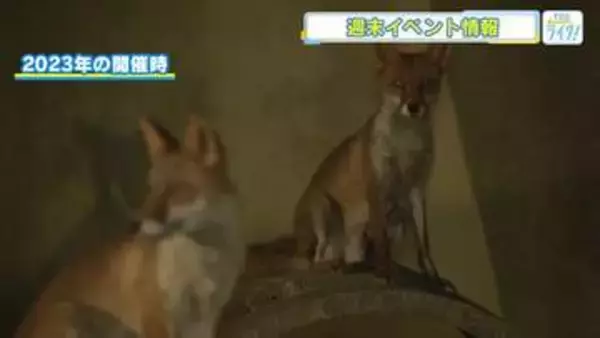 【広島おでかけ情報】安佐動物公園ではナイトサファリ　イオンモール広島府中ではドローンサッカーの体験会