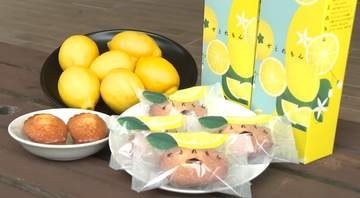 瀬戸内産レモンを使用！マドレーヌ『せとれもん』製造工場「スイーツファクトリーせとうち」オープン！呉市