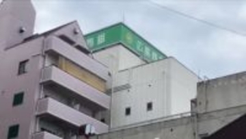 【続報】広島市中心部でサルの目撃情報　2度出没したサルと同一個体か