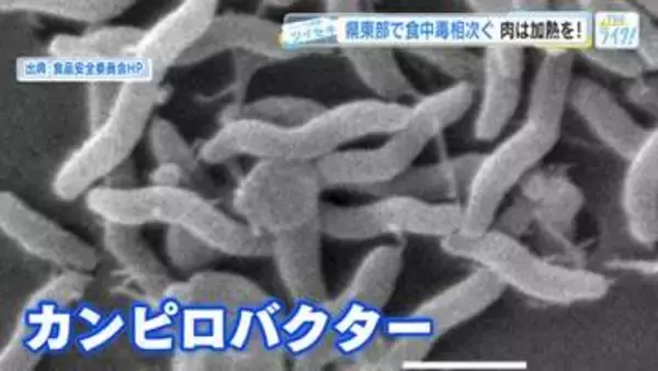 なぜ？食中毒が急増　生鶏肉に「カンピロバクター」家庭に潜む危険とは…「十分な加熱と消毒の徹底を」