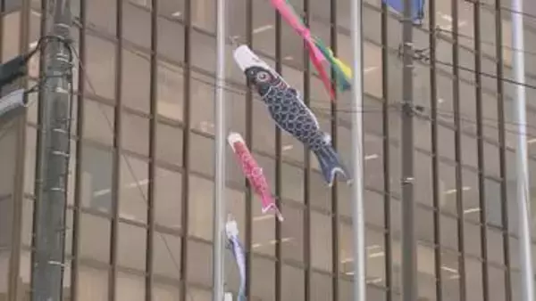 「泳いでいる！」いわき市役所でこいのぼり掲揚　5月11日まで　福島