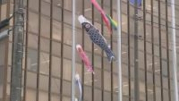 「泳いでいる！」いわき市役所でこいのぼり掲揚　5月11日まで　福島