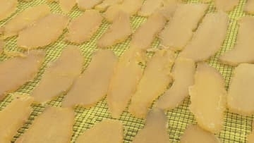 「ねっとり、濃厚！」黄色に輝く干しいも作り最盛期　郡山市のきのこ総合センター　福島