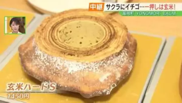 建築士から転身…町内産の米粉100％使用「バウムクーヘン」が新名物に　福島・富岡町