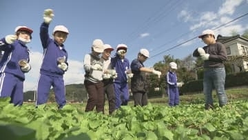 「満開に咲いて」春に黄色のじゅうたんを…花見山で小学生が菜の花の種まき　福島