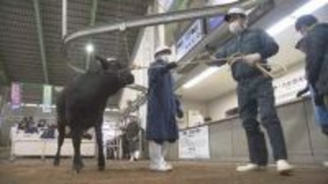 繁殖農家減少、エサ代高止まりで…今年度初の和牛セリ、前年度比14万円↑　福島