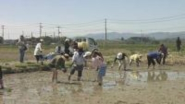 全国の「まゆみさん」集合！田植えで交流イベント　福島県・本宮市