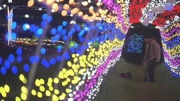 夏の夜彩るヒマワリと天の川… 安達太良山で恒例の“65万球”イルミネーション　福島・二本松市