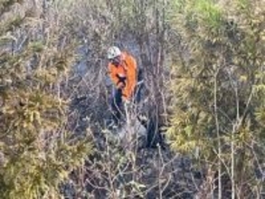 まもなく24時間…喜多方市の山林火災、消火活動続く　現場は朝から雨　福島