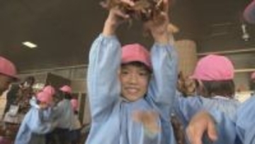 「もふもふで楽しい」恒例の“落ち葉”のプール　園児たちが歓声　福島