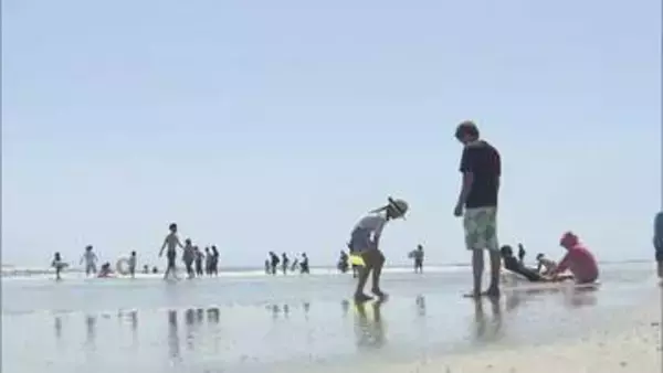 福島・いわき市の海水浴場　海開きは7月18日　8月16日までの30日間設置