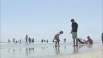 福島・いわき市の海水浴場　海開きは7月18日　8月16日までの30日間設置