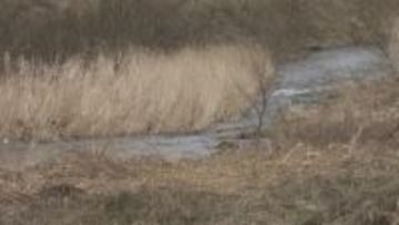 「川に人のようなものが…」高齢女性の遺体発見　事件事故両面で捜査　福島市