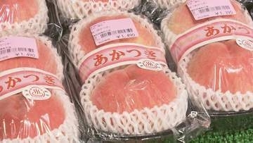 「午前2時半に家を出た」モモ・あかつき求め道の駅は長蛇の列　福島