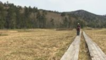 尾瀬国立公園の入山者　夏場に好天で17万人余2年ぶり増加　福島