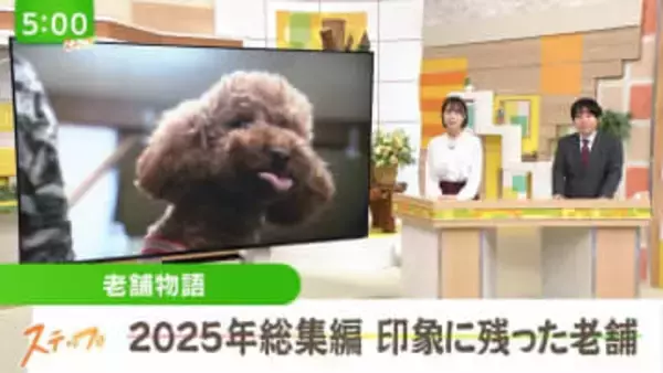 【老舗物語／総集編】昔からの技術や味を受け継ぎ、未来へと繋いでいる福島県内の老舗