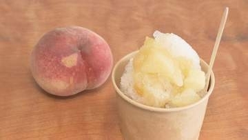 ひょう被害にあったモモを使ったかき氷　高校生が開発　福島