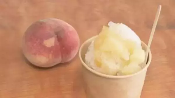 ひょう被害にあったモモを使ったかき氷　高校生が開発　福島
