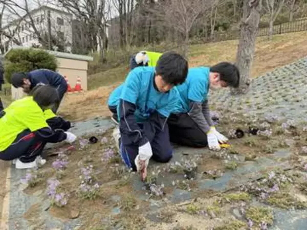 福島市のシンボル・信夫山を「桃色の名所」へ…福島JCと高校生が芝桜を植樹