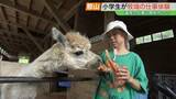 「「大きくなったら飼育員になりたい」小学生が牧場の仕事体験　アルパカにエサやりも　福島・郡山市」の画像1