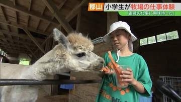 「大きくなったら飼育員になりたい」小学生が牧場の仕事体験　アルパカにエサやりも　福島・郡山市