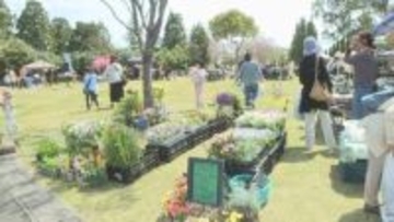 春を彩る花々や多肉植物の販売人気　スプリングフェスティバルにぎわう　福島・いわき市