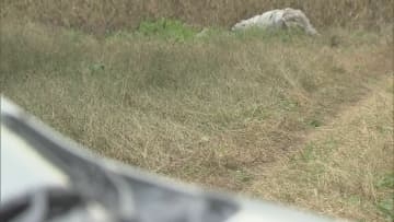 車にはねられたか　畑で倒れていた95歳女性死亡　近くにタイヤ痕も　福島・白河市