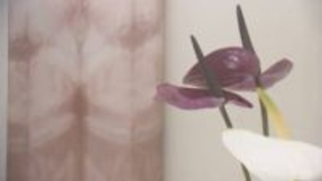 川俣シルクを町特産の花「アンスリウム」で染色…近畿大の学生の作品展　福島・川俣町