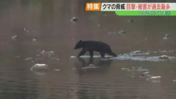 「冬眠しないクマはいない」ただし、住宅近くにいることも…遭遇したら、襲われたら？【2025ふくしま③】