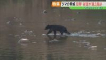 「冬眠しないクマはいない」ただし、住宅近くにいることも…遭遇したら、襲われたら？【2025ふくしま③】