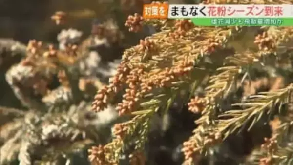 雄花減少も飛散量は増加？花粉シーズン本格化　持ち込まない・寄せ付けない対策を　福島