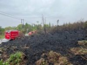 【速報】喜多方市の山林火災が鎮圧　通報から24時間　福島