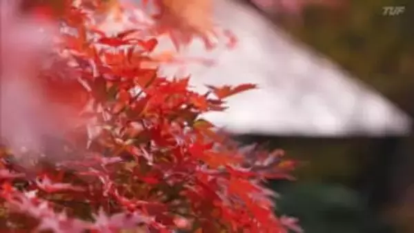 【映像】真照寺の紅葉　福島・三春町【カメラめせん㊳】
