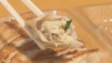 全国のご当地餃子が大集合　白河市で「ぐっと！！餃子まつり」初開催　福島