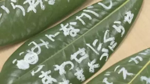 復興への願いを“木の葉”に込めて…童話『じろはったん』にちなみ保育園児が綴る　福島