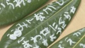 復興への願いを“木の葉”に込めて…童話『じろはったん』にちなみ保育園児が綴る　福島