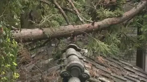 「良心のかけらもない人物なんでしょうね」寺の杉倒れ、本堂など損傷　のこぎり様の切り跡も　福島