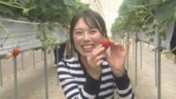 ゴールデンウィークはイチゴ狩り！SNS投稿でプレゼントも　福島