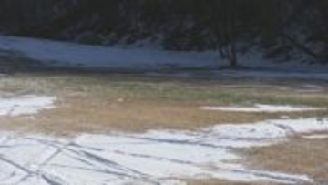 “書き入れ時”の年末年始前に恵みの雪は…スキー場はオープン延期　福島・猪苗代町