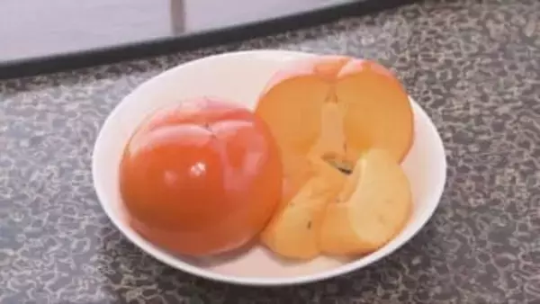 例年より色つや良く甘い実が…会津みしらず柿、今年も皇室に献上へ　福島・会津若松市