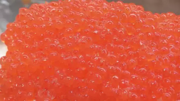 ウニの食べ比べ弁当に濃厚チーズケーキ…おいしいもの勢ぞろい「春の北海道展」福島・郡山市