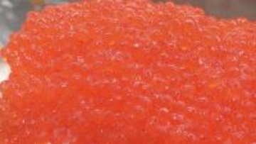 ウニの食べ比べ弁当に濃厚チーズケーキ…おいしいもの勢ぞろい「春の北海道展」福島・郡山市