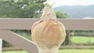 モモ1.5個使用！毎年人気の“あのパフェ”がまもなく登場！　福島市の森のガーデン