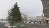 「「気分が乗らない」クリスマスイブは雨の一日に…“ホワイトクリスマス”にはならず　福島」の画像1