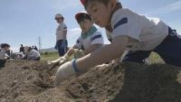 「ポテサラにして食べたい」小学生がジャガイモ植え付け　農業の楽しさ体験　福島・会津若松市